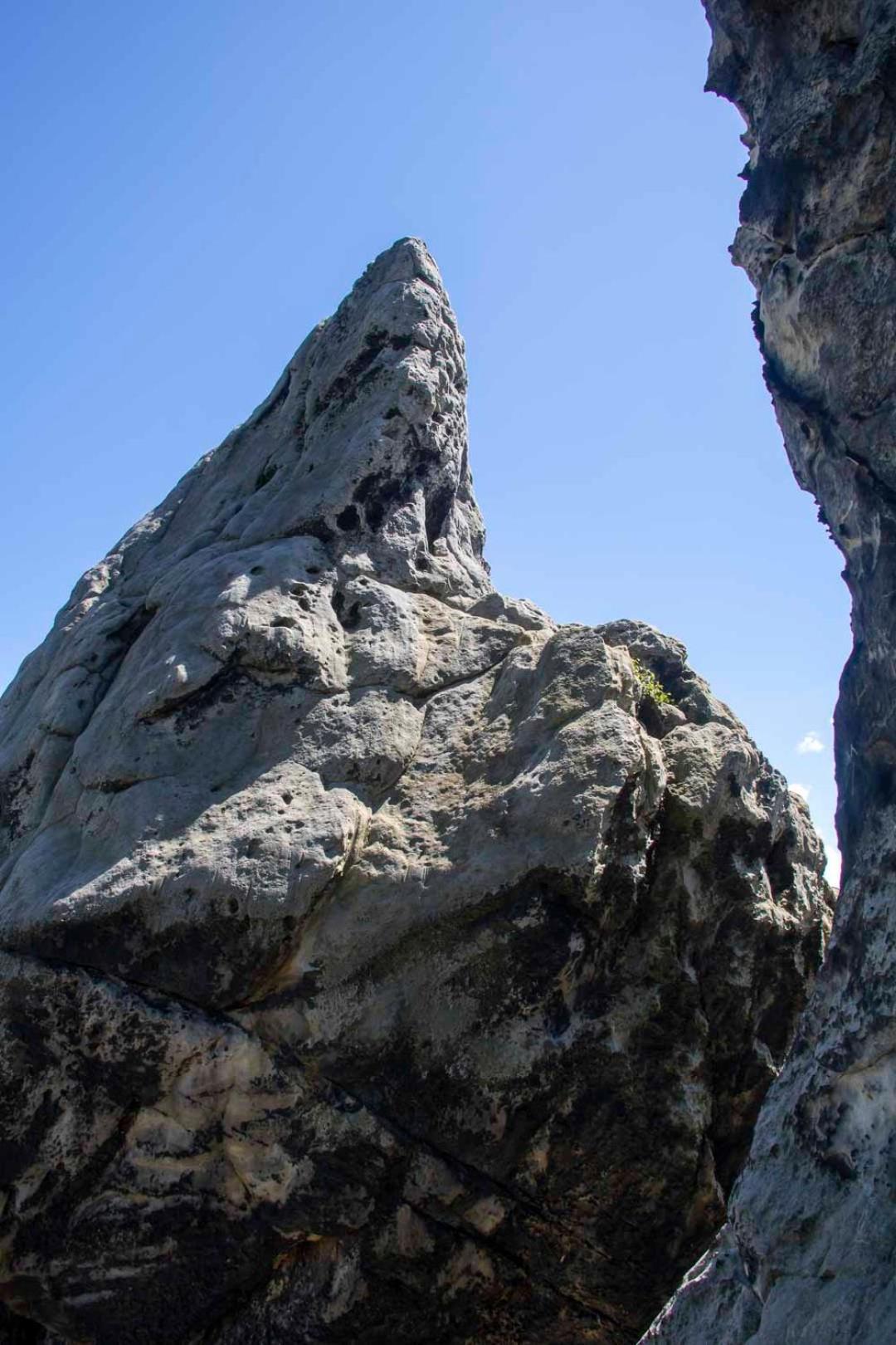 Js Feriendomizile: Nest *